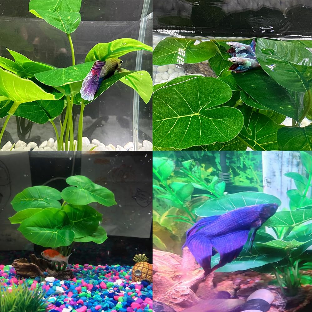Ensemble décoratif Smoothedo-Pets pour aquarium vert