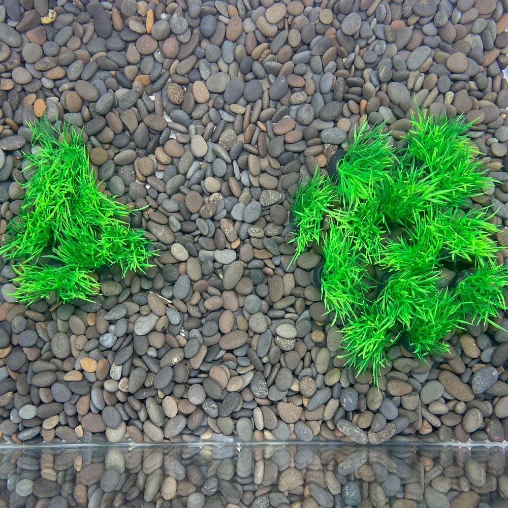Smoothedo-Pets feuillage plastique decor aquarium vert 1pouce, couleur stable.