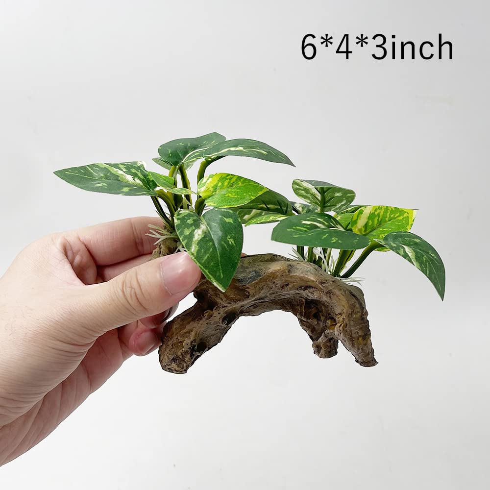 Smoothedo-Pets hamac Betta dans l'aquarium, repos et observation sereine