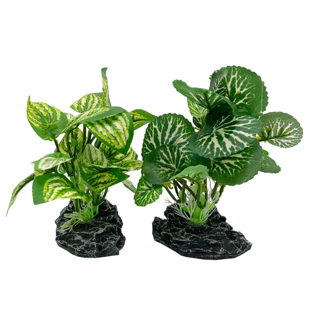 Smoothedo-Pets plante d'aquarium en soie verte, 4 pouces, cachette naturelle pour Betta.
