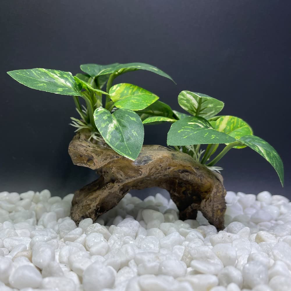 Smoothedo-Pets plante artificielle dans l'aquarium, apporte couleur sans entretien