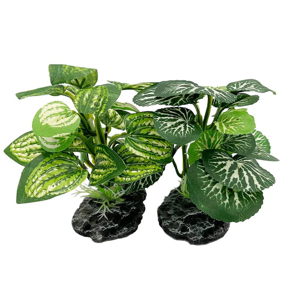 Smoothedo-Pets plante artificielle soie décor aquatique naturel, facile à installer.