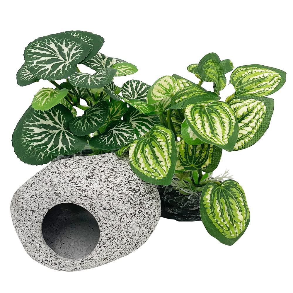 Smoothedo-Pets plante artificielle soie verte betta, refuge sûr et décor naturel.