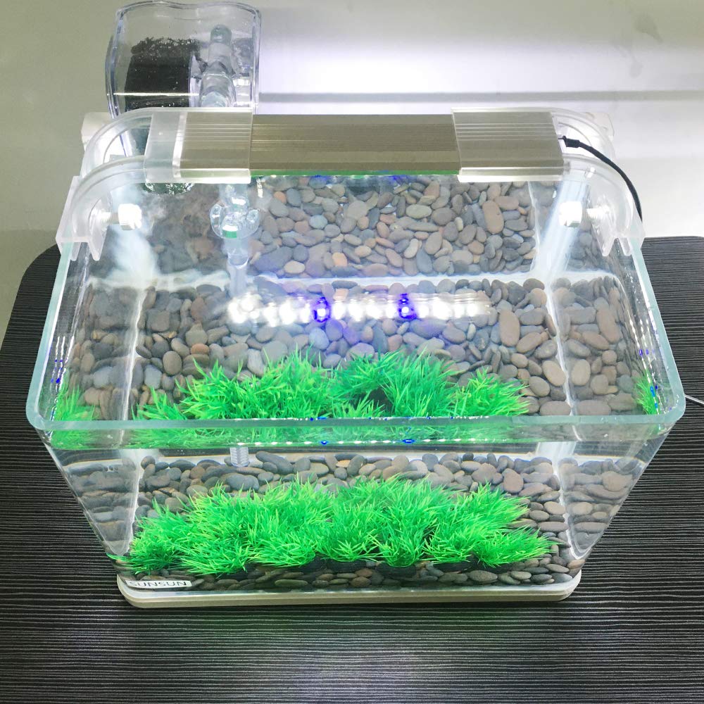 Smoothedo-Pets plante miniature aquarium vert set 1pouce, prêt à disposer.