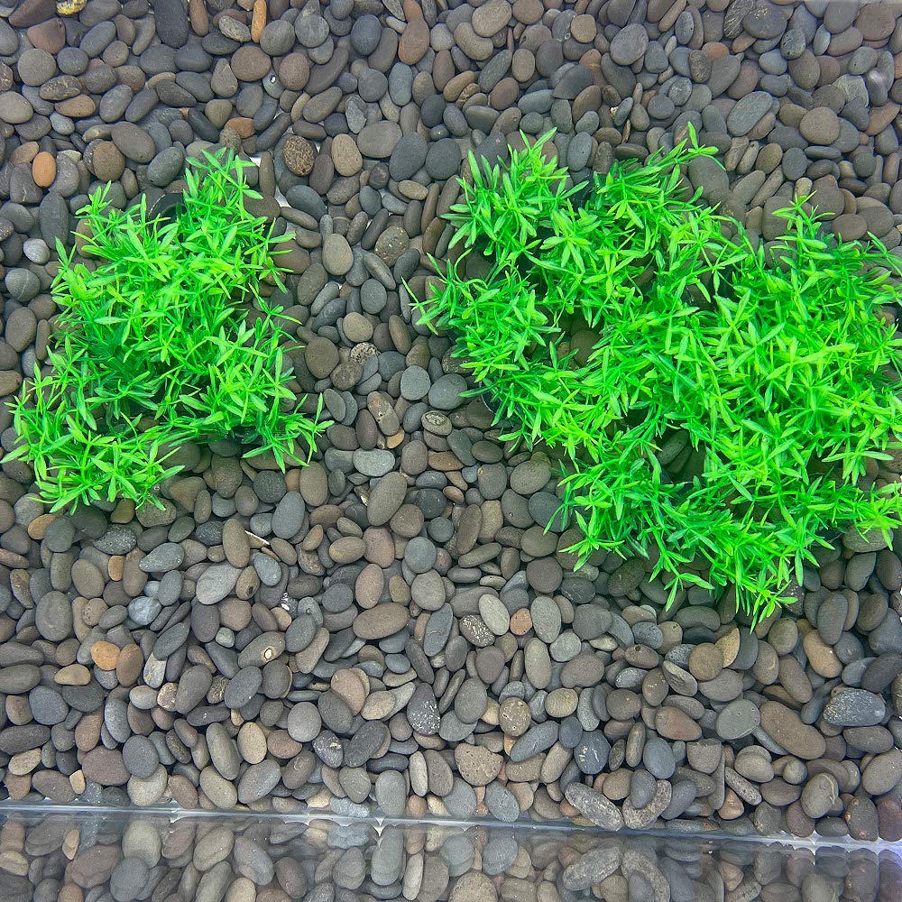 Smoothedo-Pets plantes aquarium vertes artificielles petites, rendu dense et sûr.