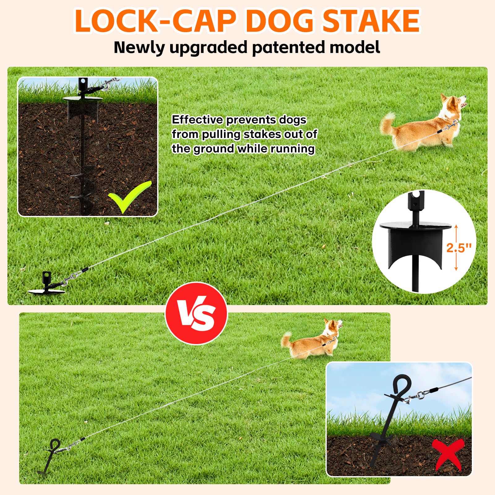 Snagle Paw ancre-chien 360° rotation pour éviter les nœuds et garder le chien en sécurité.
