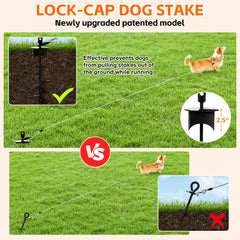 Snagle Paw ancre-chien 360° rotation pour éviter les nœuds et garder le chien en sécurité.