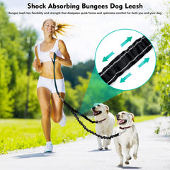Laisse Snagle Paw avec connecteur double et anti-entortillement pour éviter les nœuds lors des promenades.