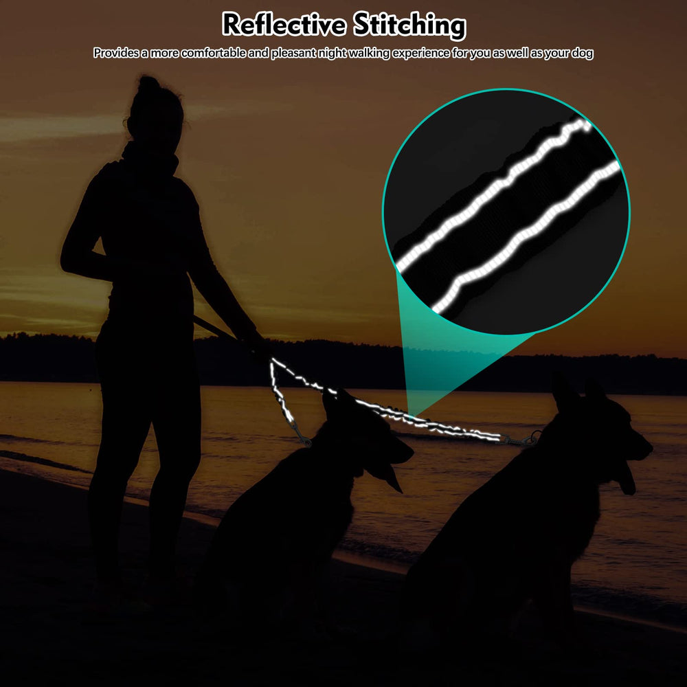 Laisse Snagle Paw coutures réfléchissantes renforcent la visibilité nocturne.