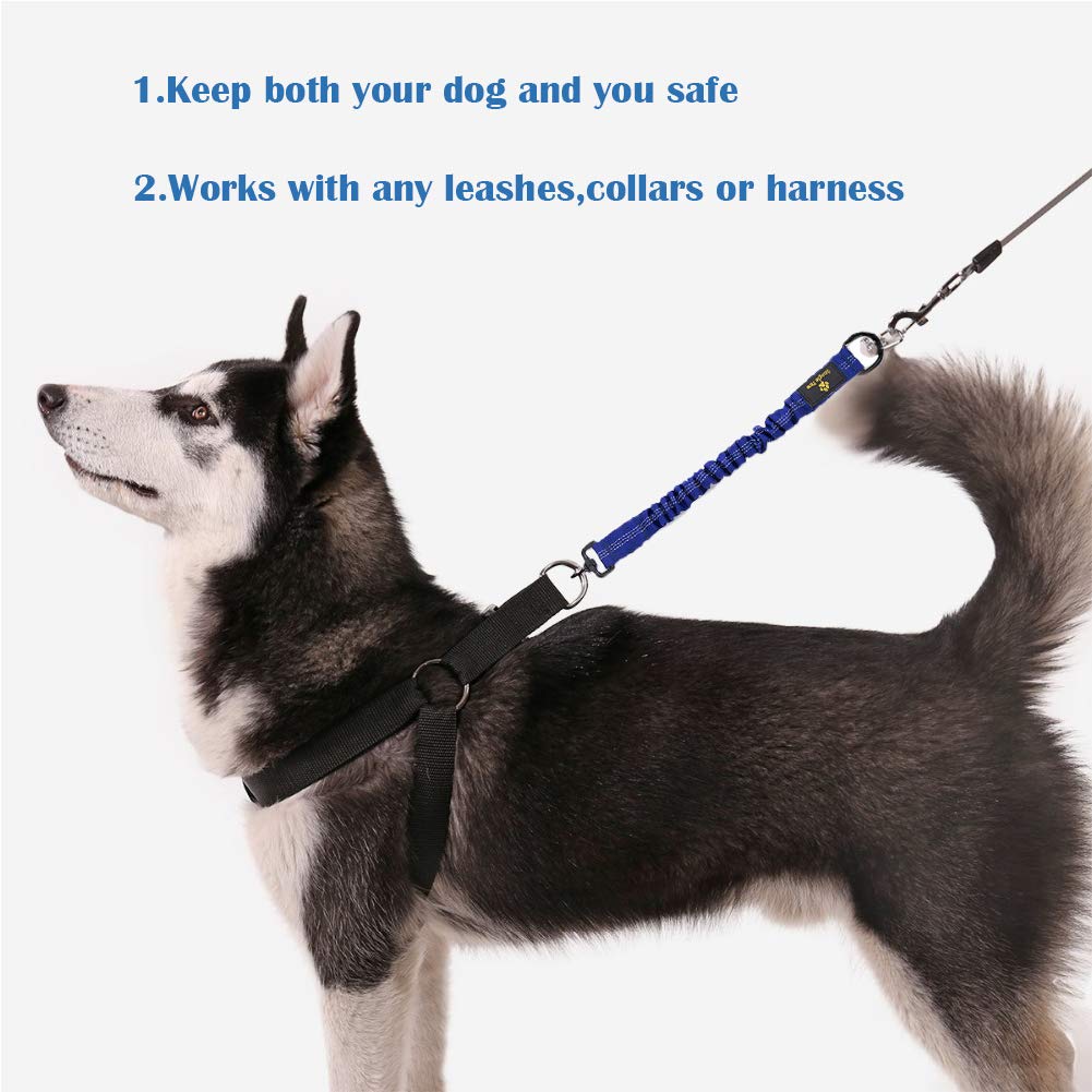 Laisse bungee réfléchissante Snagle Paw: meilleure visibilité au crépuscule.