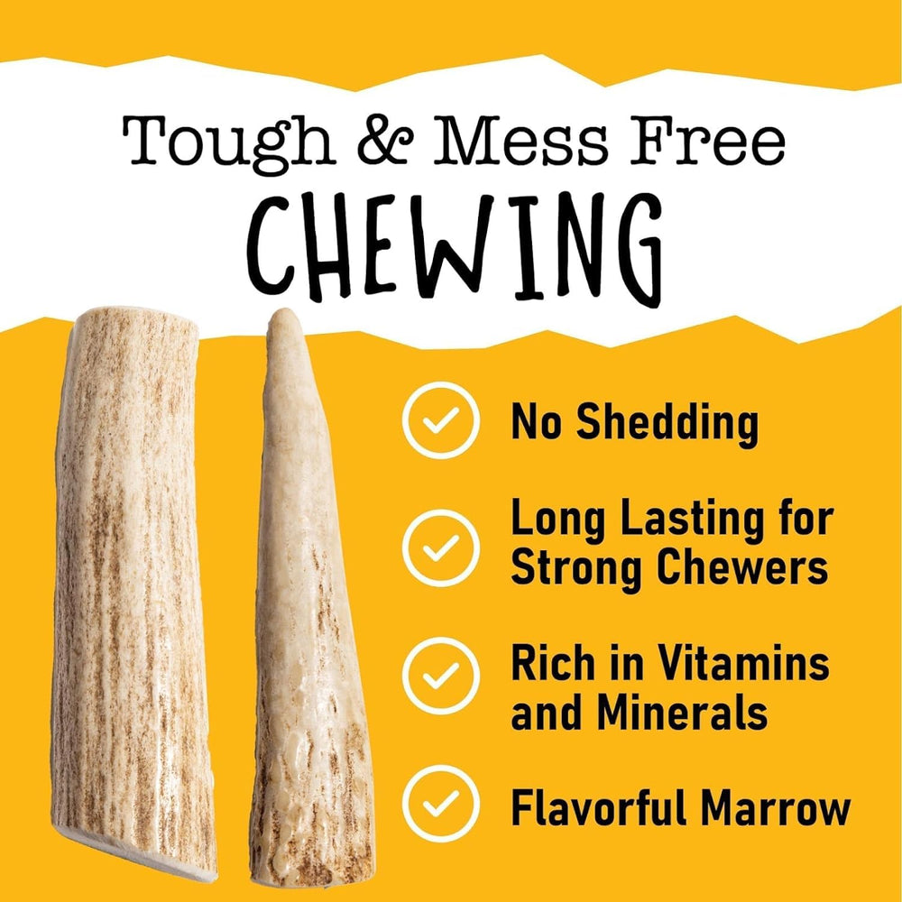 Snatchers moelle elan pour chien, saveur naturelle et richesse nutritive.