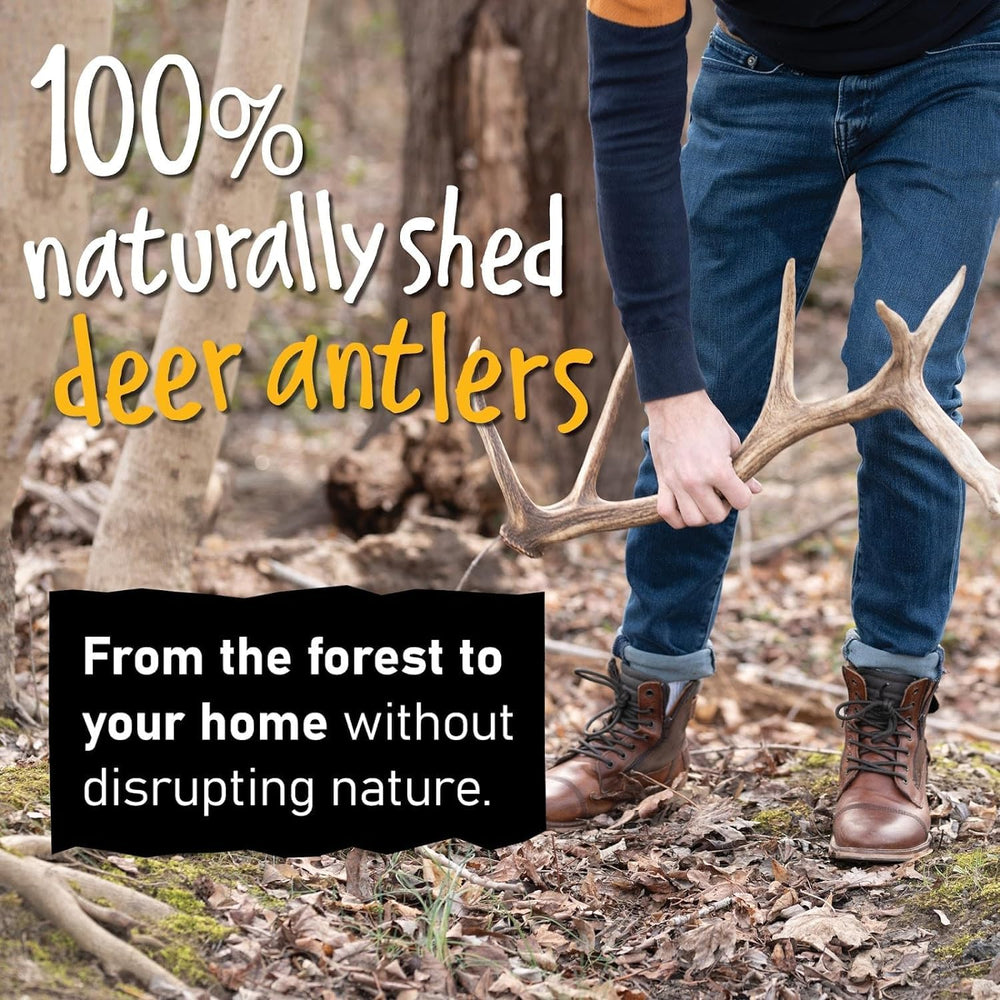 Snatchers origine USA elan sans additifs, produit respectueux de l environnement.
