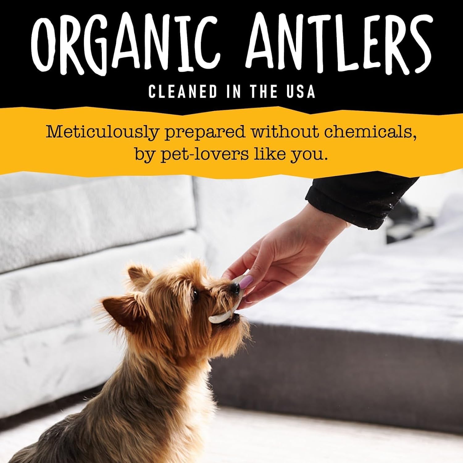 Snatchers sans additifs elan, option naturelle et pure.