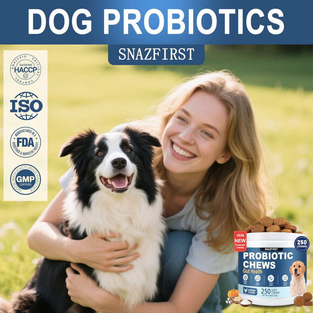 Amélioration de l'absorption des nutriments avec SnazFirst Probiotiques chien