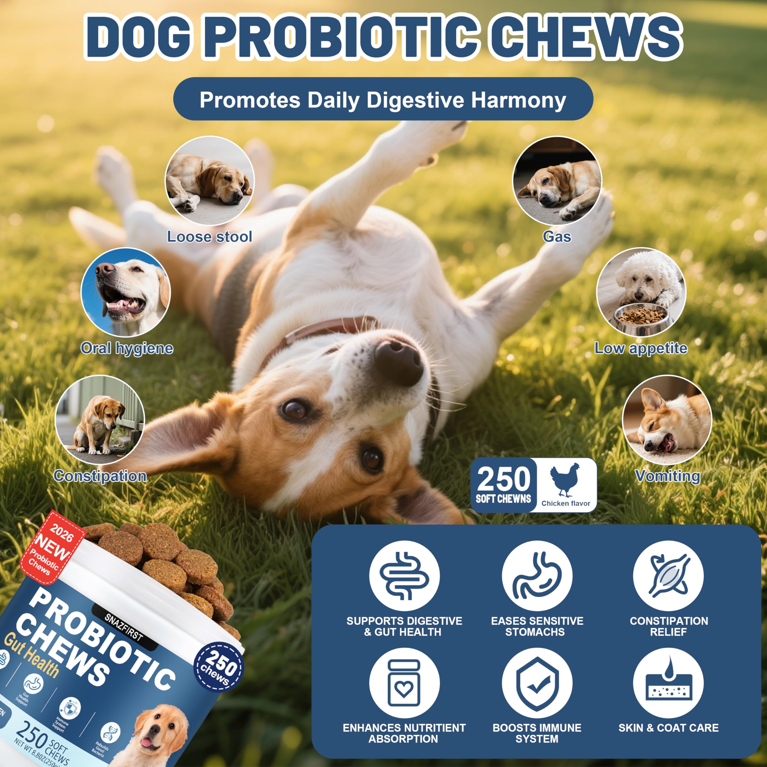 Probiotiques SnazFirst pour chien, bouchées au poulet, facilité d'administration