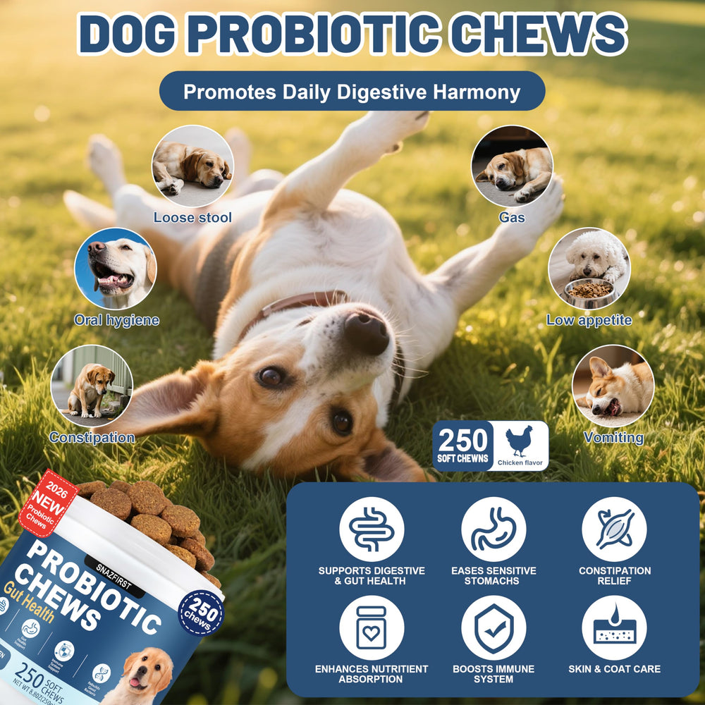 Probiotiques SnazFirst pour chien, bouchées au poulet, facilité d'administration