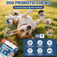 Probiotiques SnazFirst pour chien, bouchées au poulet, facilité d'administration