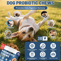 SnazFirst Probiotiques chien - bouchées au poulet, saveur appréciée pour confort digestif.