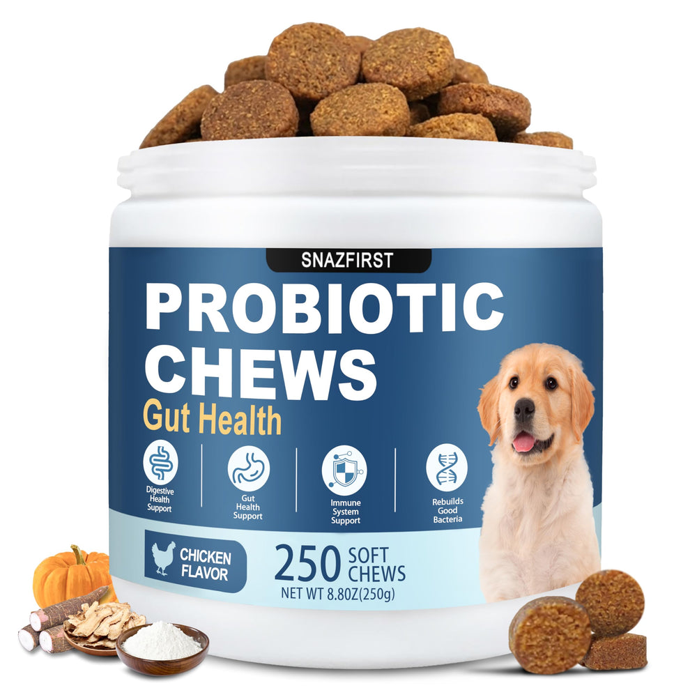 SnazFirst Probiotiques chien en bouteille pour soutien digestif