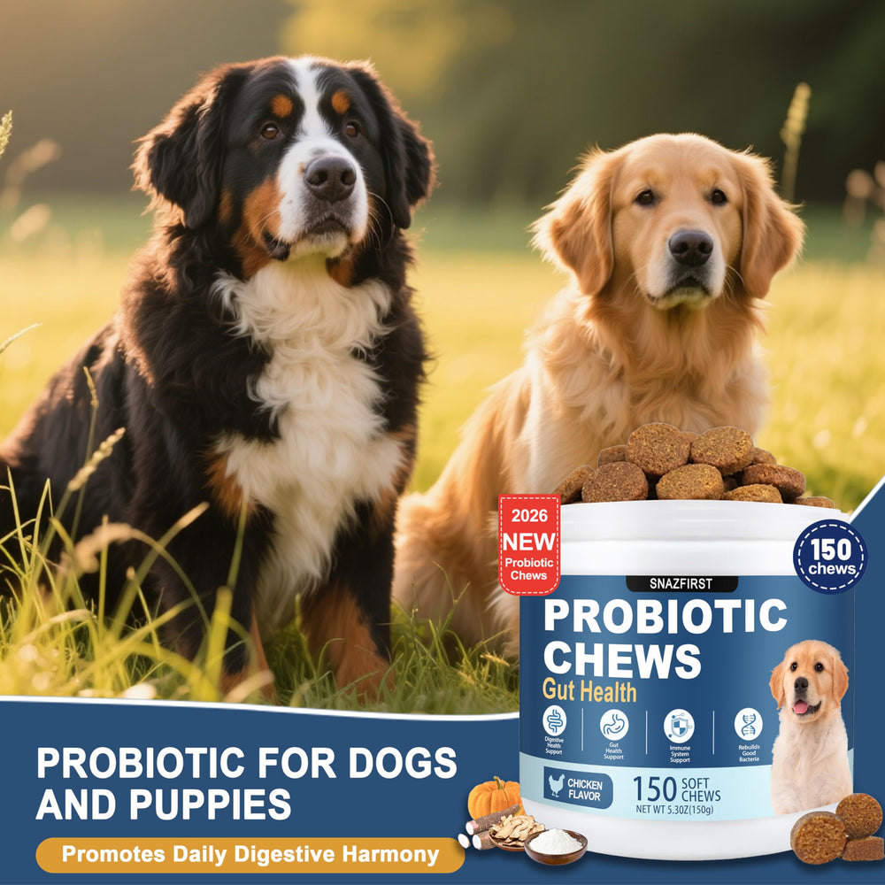 SnazFirst Probiotiques chien - emballage compact et pratique pour long terme.