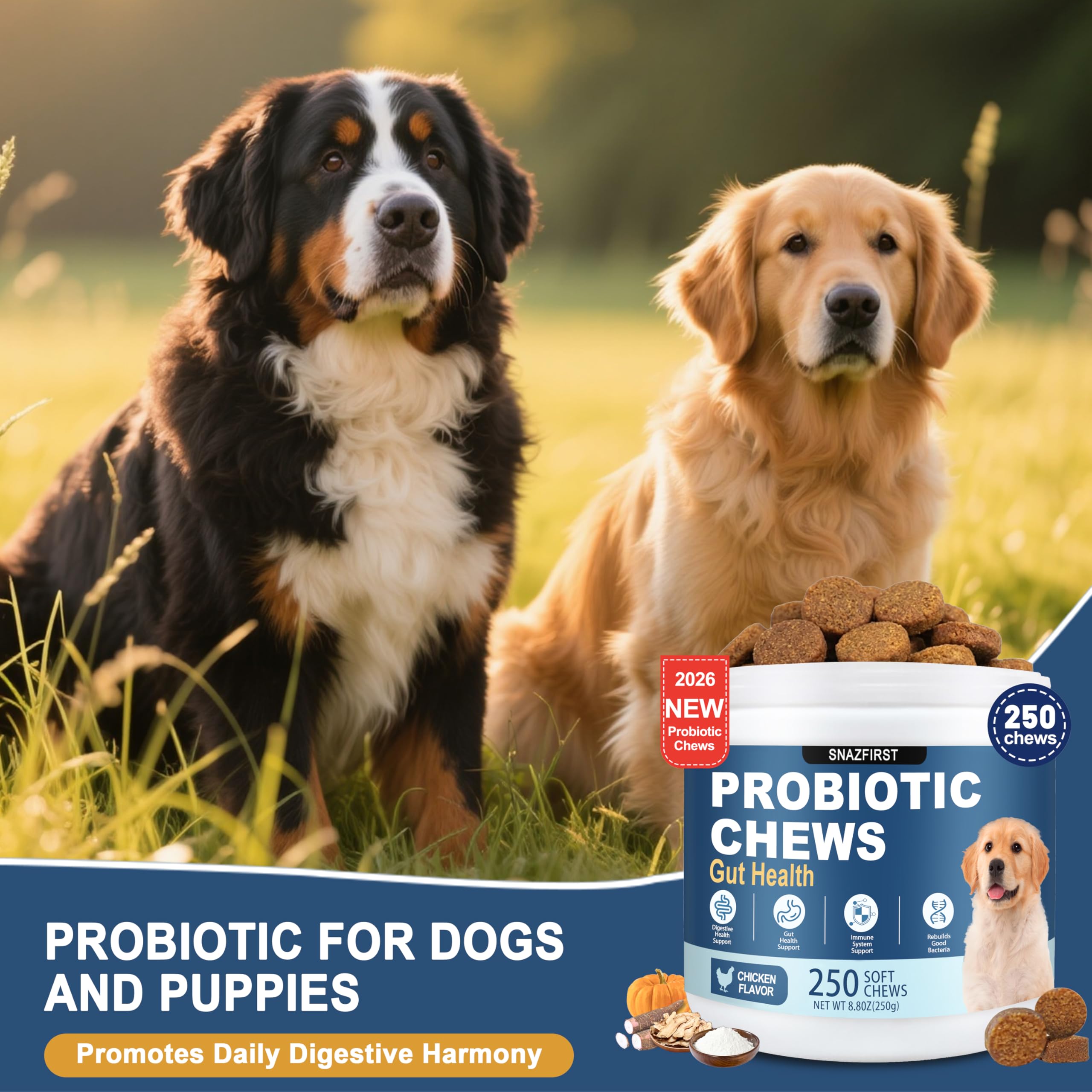 Utilisation quotidienne adaptée du chiot au senior avec SnazFirst Probiotiques