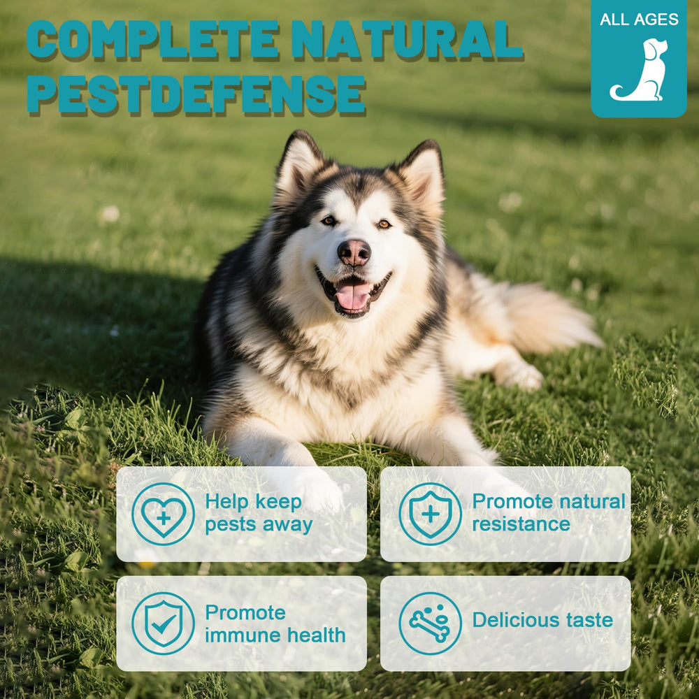 SnazFirst: protection complète contre les puces pour chiens.