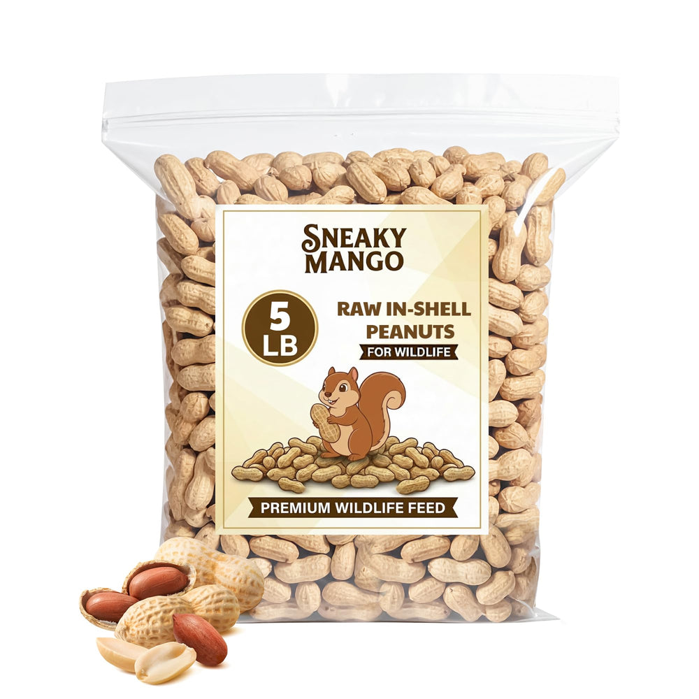 Sneaky Mango cacahuètes crus en coquille dans un sac, énergie naturelle pour la faune locale.