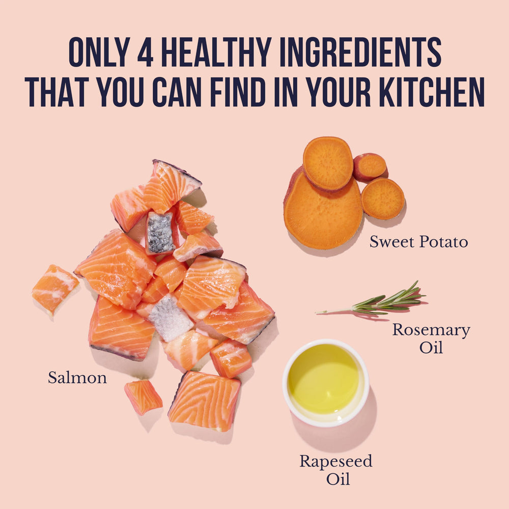 Snif-Snax ingrédients limités — recette simple et digeste