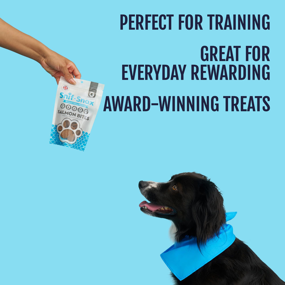 Snif-Snax Saumon Texture Douce, friandise agréable pour chiens sensibles.