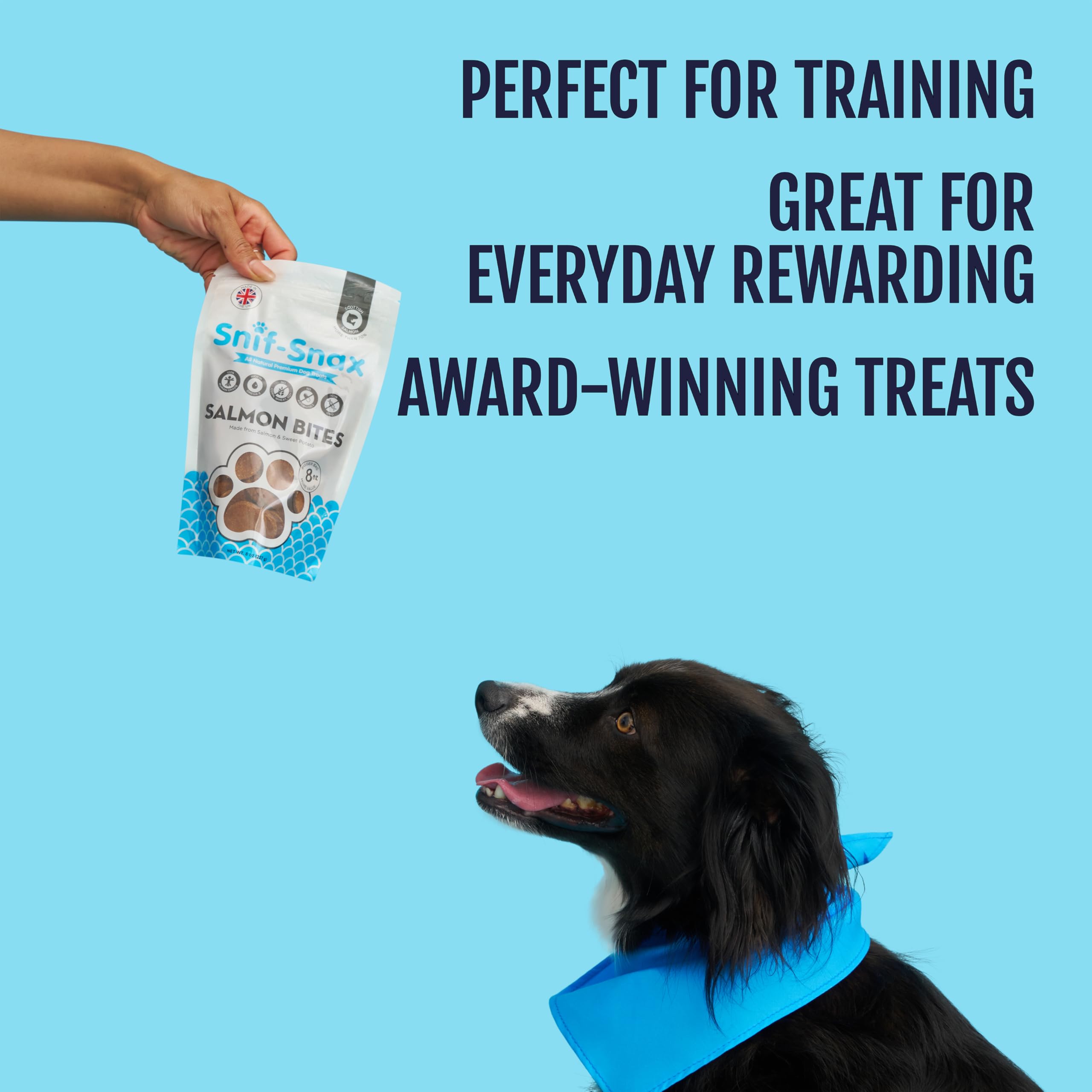 Snif-Snax texture douce bouchées saumon: mâche facile pour les chiens.
