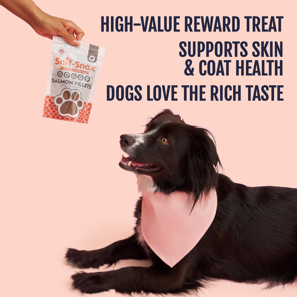 Tranches saumon moelleuses Snif-Snax, texture agréable pour récompenser le chien