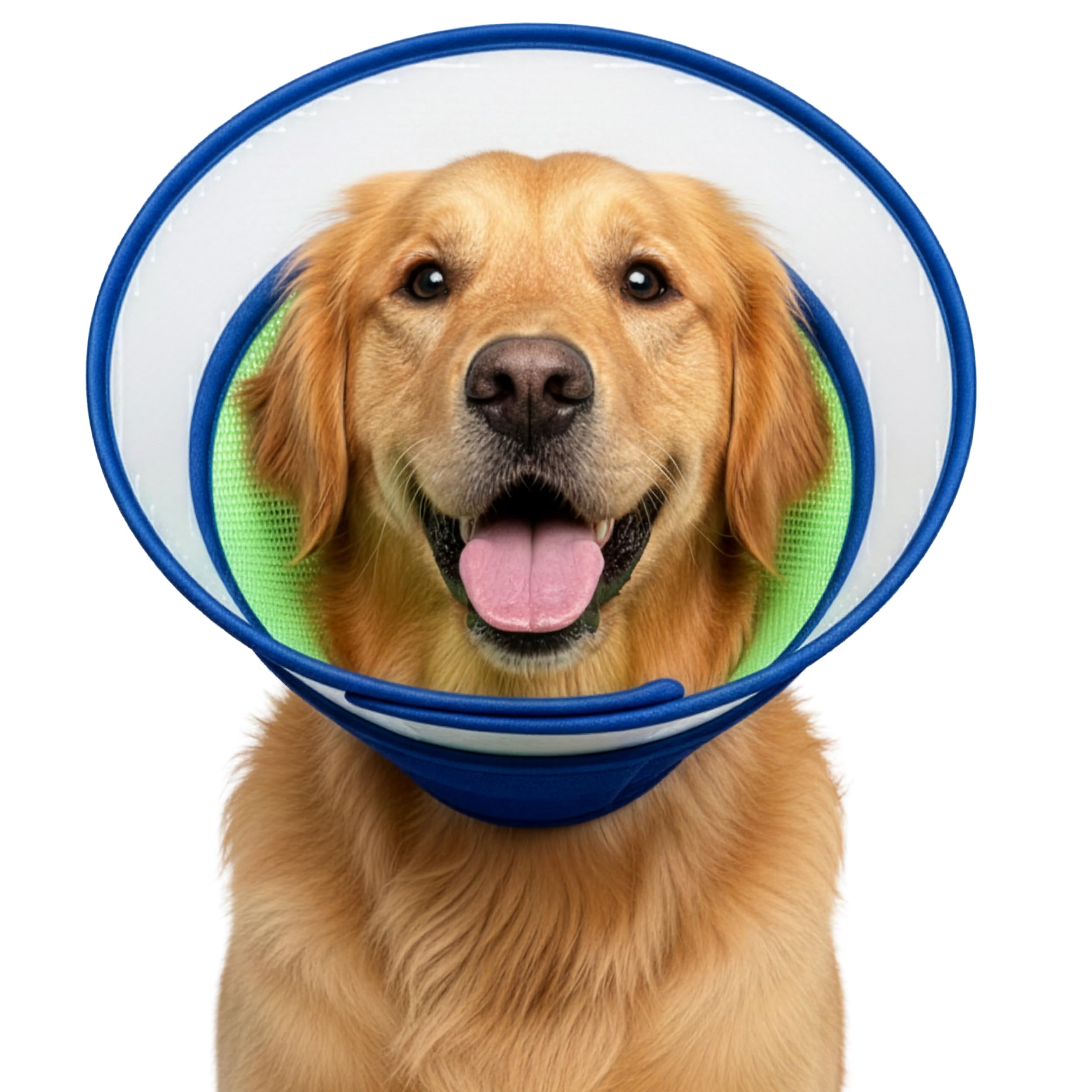 SniffyTales Cône de récupération doux en bleu, confort après chirurgie.