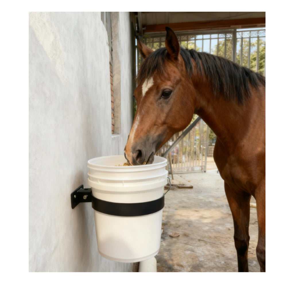 Snnjkwt support-seau-alimentation-cheval-5gal-mural-noir, fixation robuste.