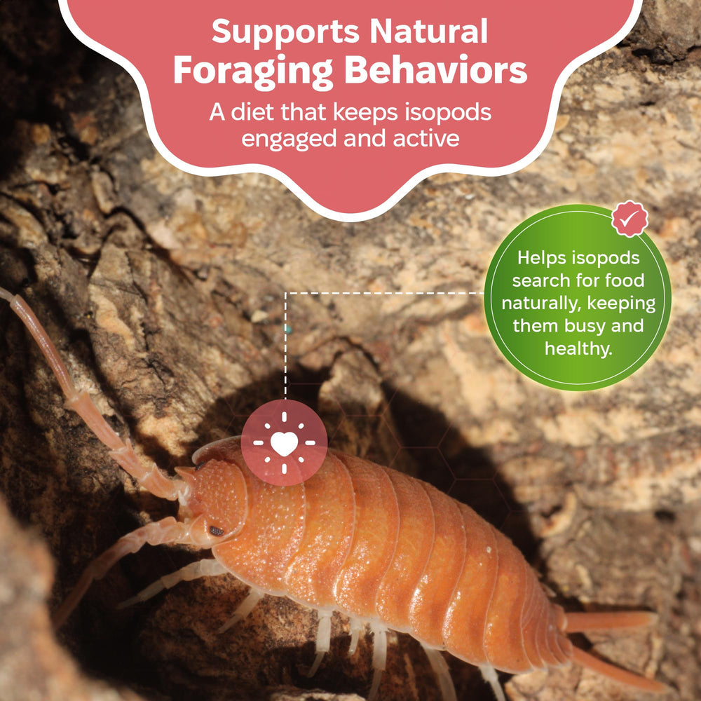 Snout and Shell nutrition riche, soutient croissance et immunité des colonies d'isopodes.