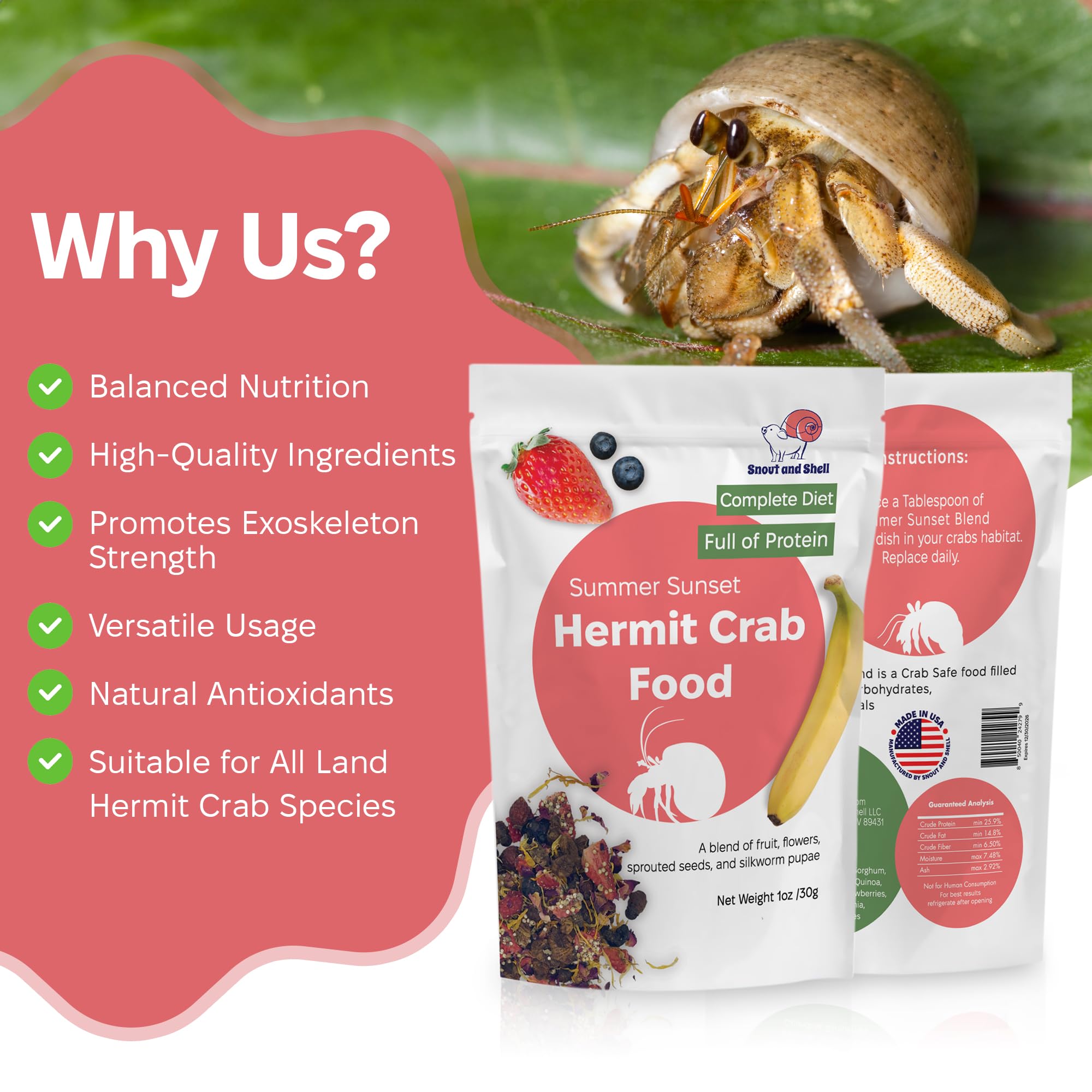 Snout and Shell – encourage le comportement naturel de recherche et collecte.