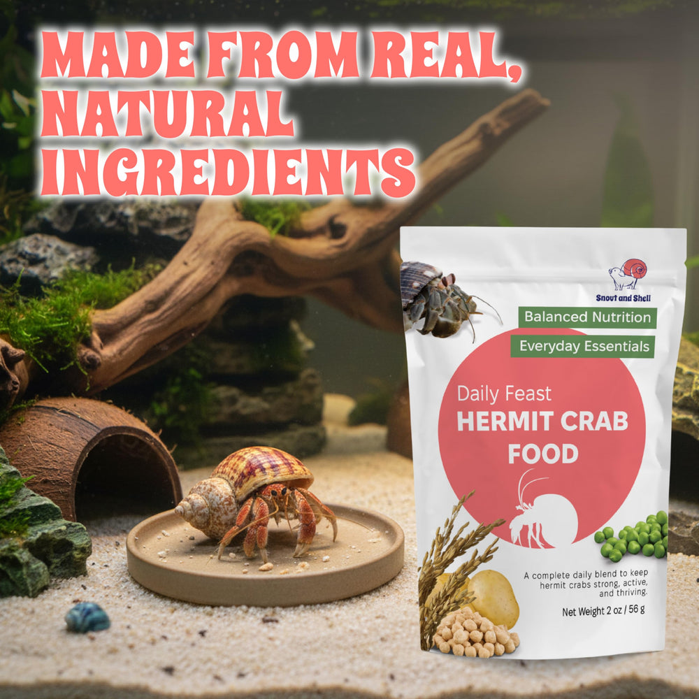 Snout and Shell Daily Feast sachet refermable et compact, rangement facile.