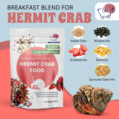 Greensand Snout and Shell, substrat sableux stable pour l'habitat des hermites.