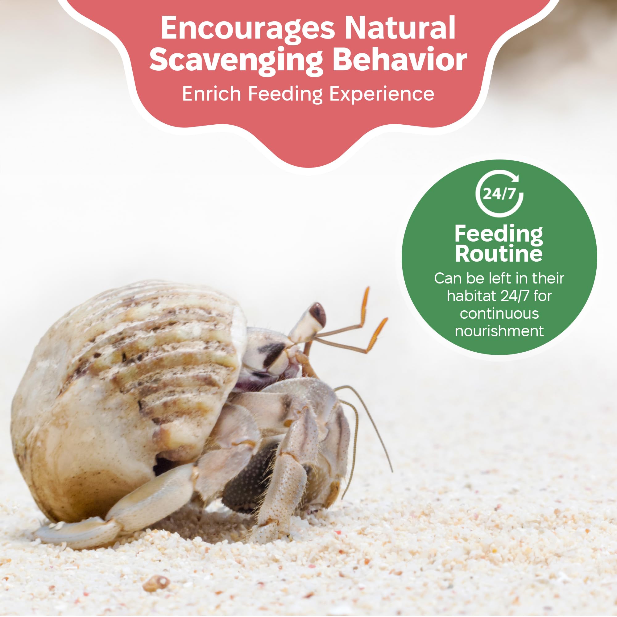 Snout and Shell Greensand, compatible avec tous les crabitats, pratique pour l'installation variée.