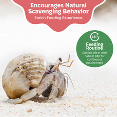 Snout and Shell Greensand, compatible avec tous les crabitats, pratique pour l'installation variée.