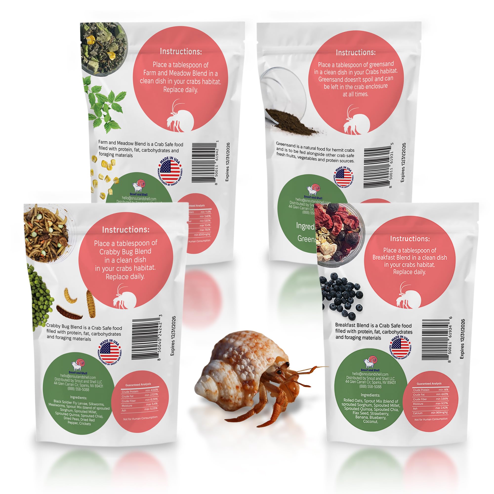 Guide d’experts Snout and Shell pour nourrir et entretenir les hermites.