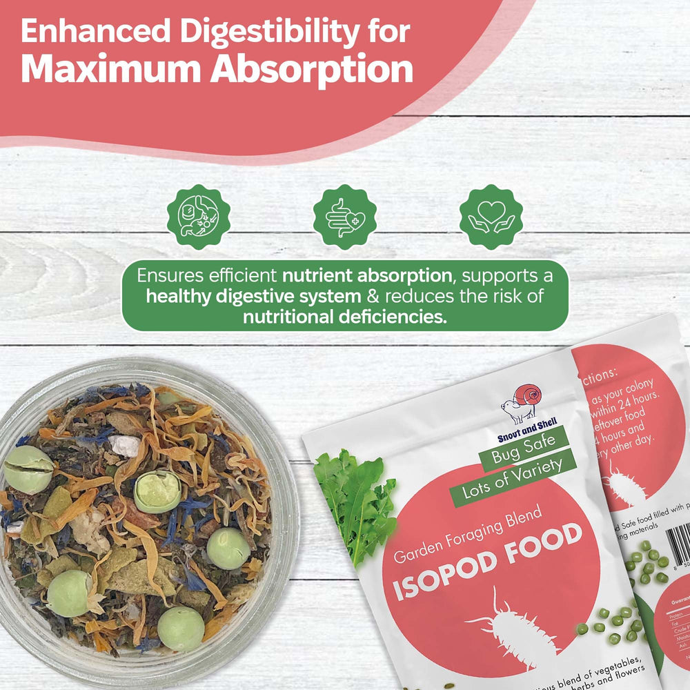Snout and Shell habitat naturel, favorise des comportements de recherche et d'alimentation.