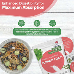Snout and Shell habitat naturel, favorise des comportements de recherche et d'alimentation.