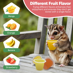 Snout and Shell Jelly Pods saveurs fruits — naturelle et pratique.