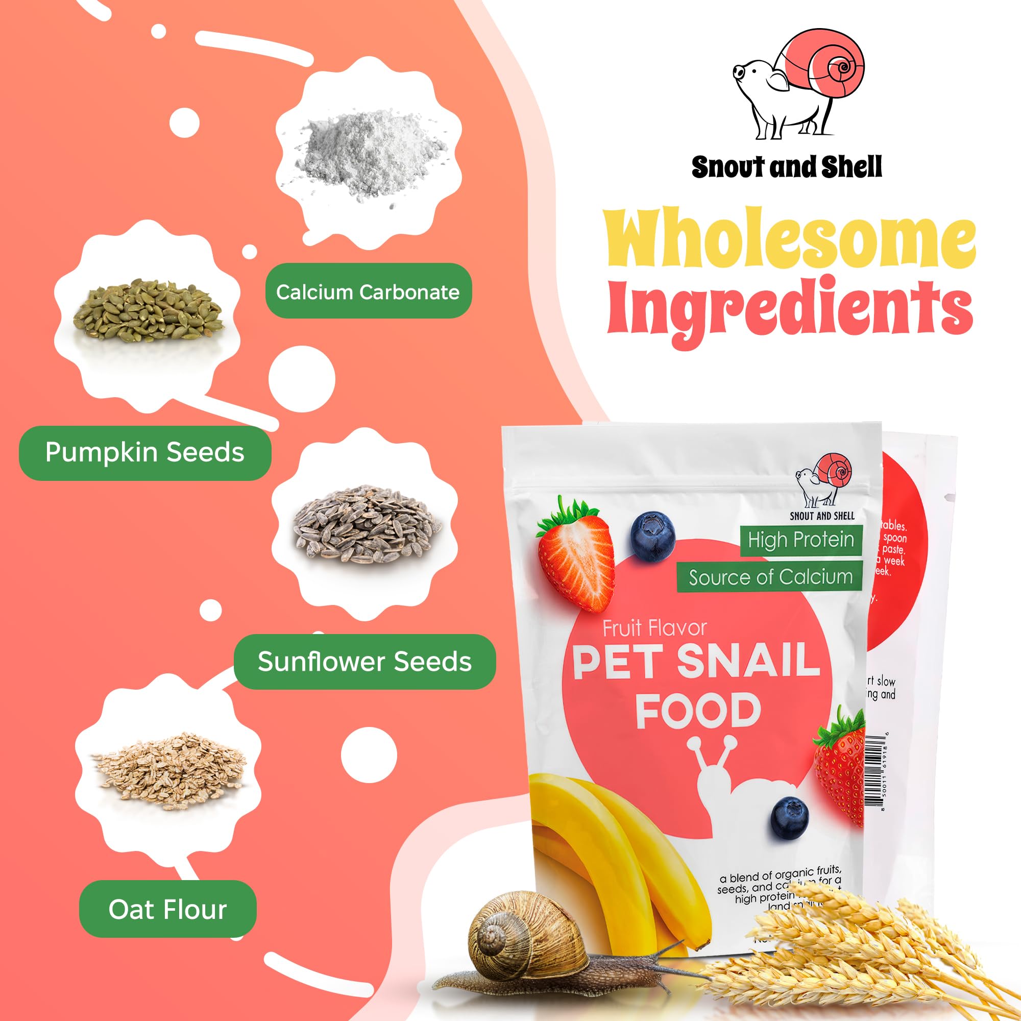 Snout and Shell – mélange fruits en poudre, goût naturel et facile à intégrer dans l’alimentation.