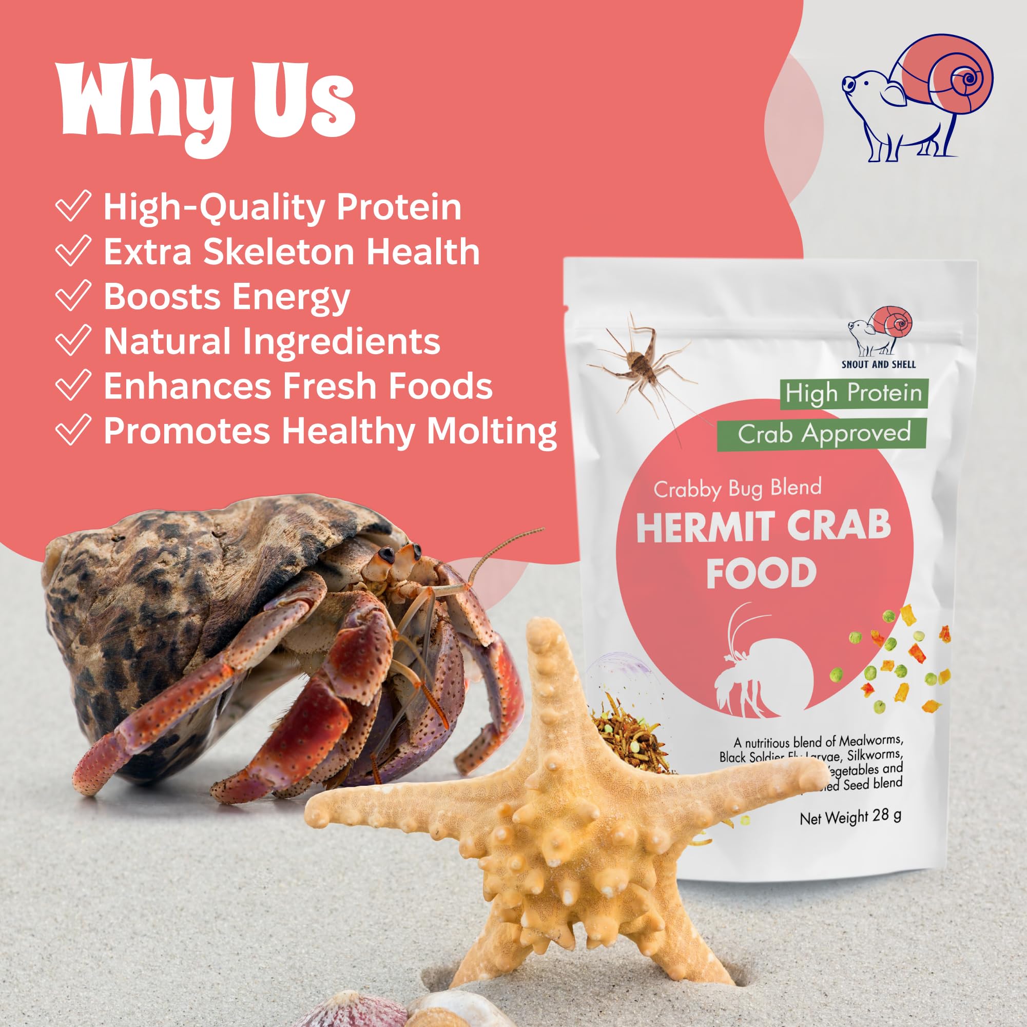 Snout and Shell Crabby Bug Blend preparation simple pour terrarium