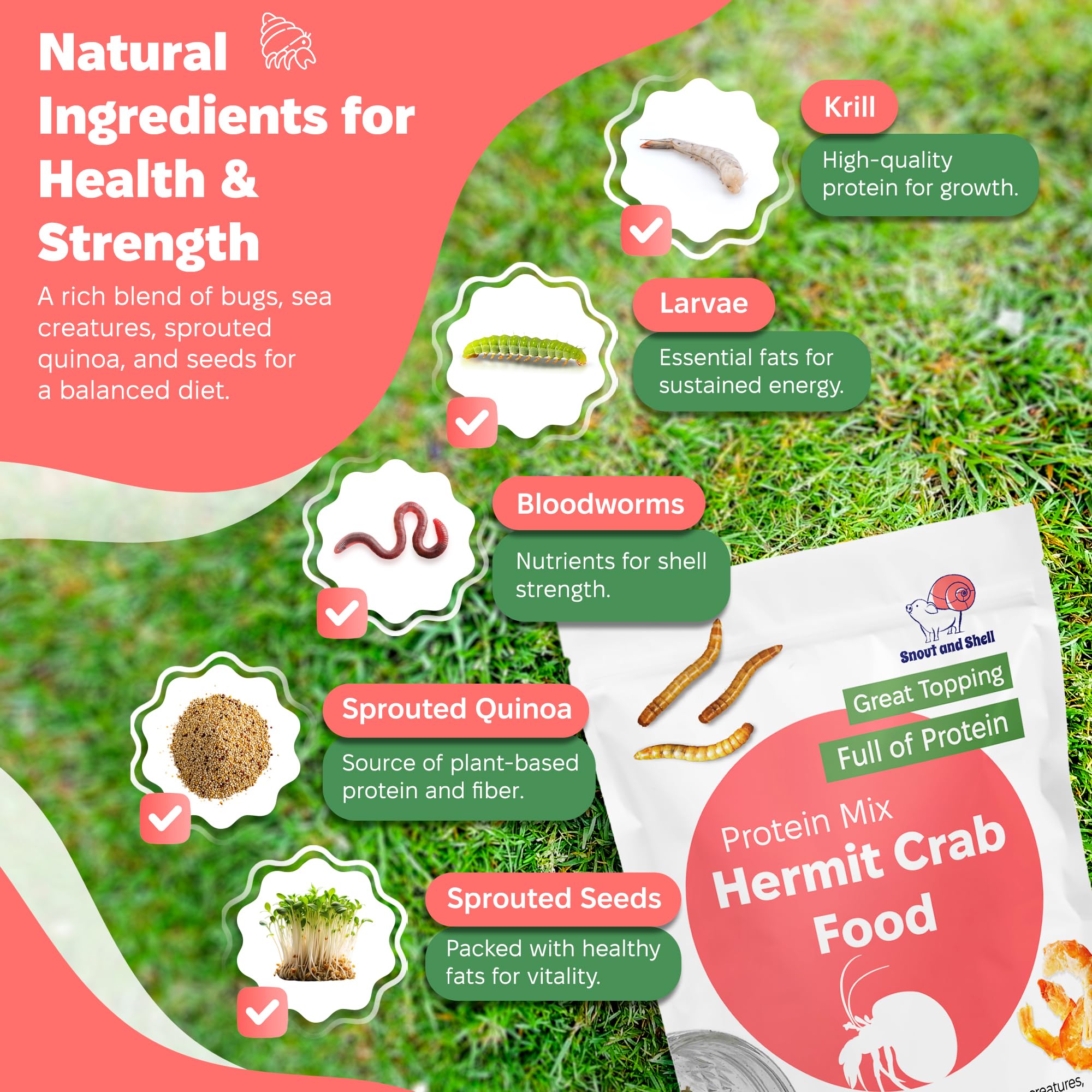 Snout and Shell Protein Mix Hermit Crab Food grains germés, texture variée stimulant le foraging du crabe ermite