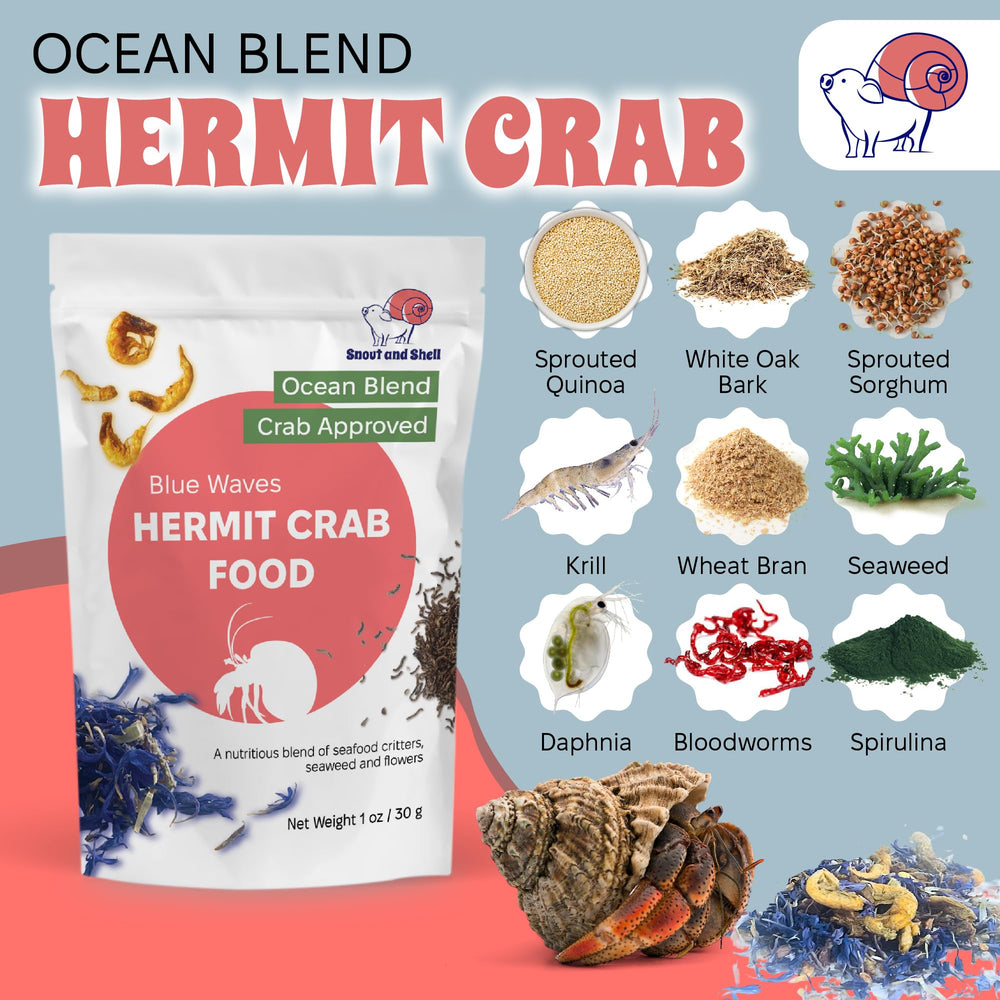 Snout and Shell – sans additifs, alimentation claire et pure pour crabes ermite