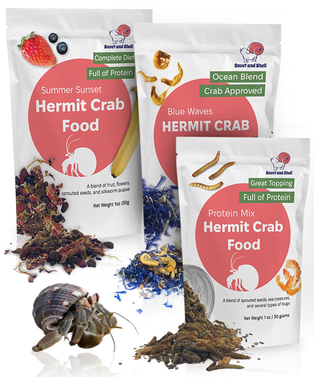 Snout and Shell – vagues bleues, alimentation protéinée pour crabe ermite actif