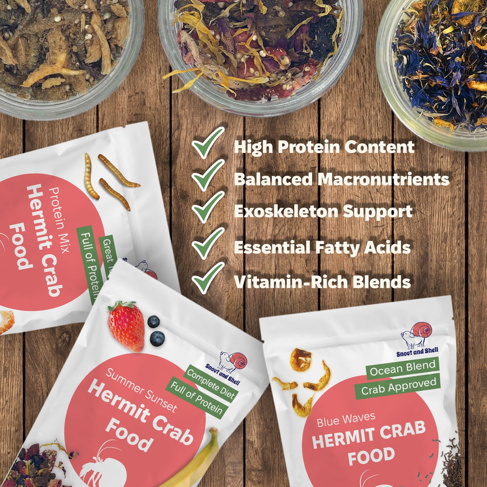 Snout and Shell – varech et spiruline, soutien des super-aliments marins