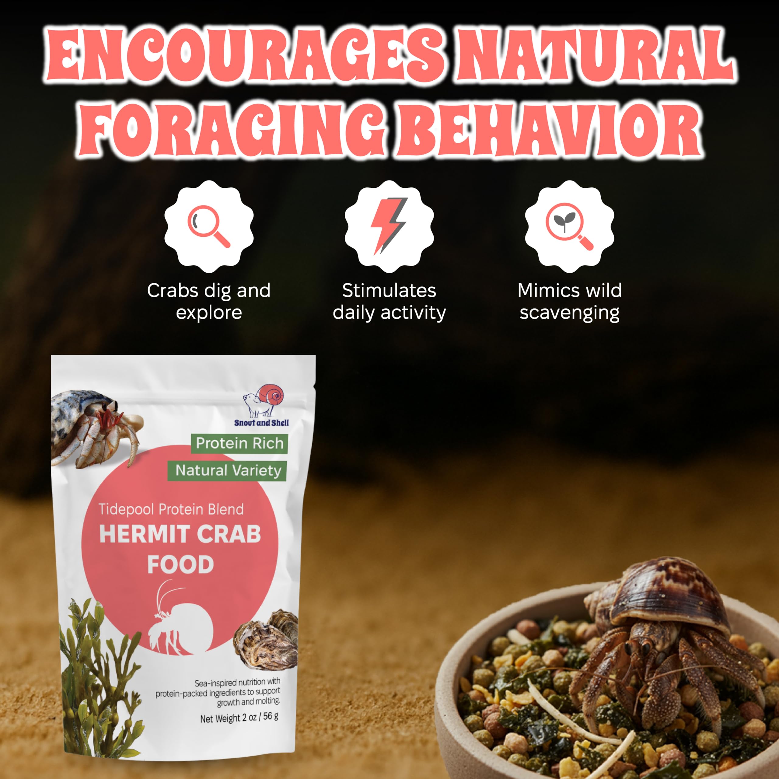 Snout et Shell Tidepool – dosage facile dans un plat propre